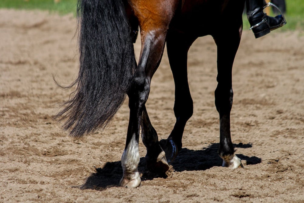correct and prevent a lateral walk dressage