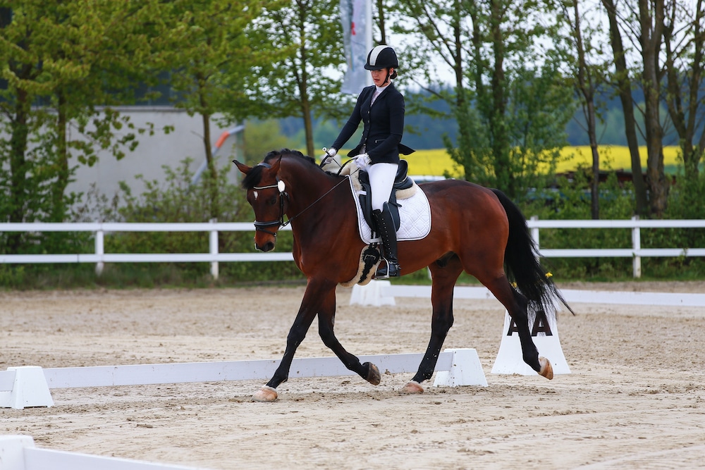 how to ride a 10 meter circle dressage