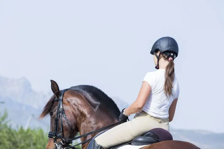 How to Stop Your Horse's Poll From Getting Too Low How to dressage
