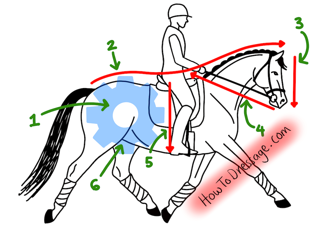 energy circle how to dressage diagram