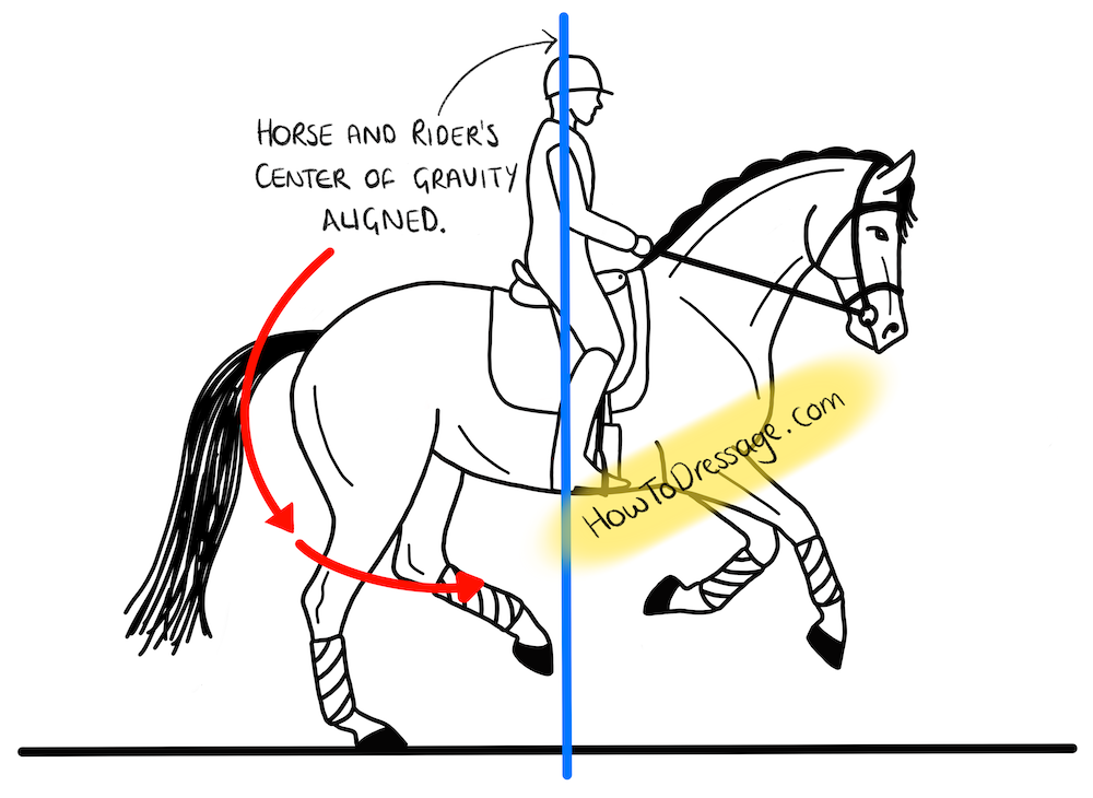 How to Use Your Seat and Weight Aids for Dressage ⋆ How To Dressage