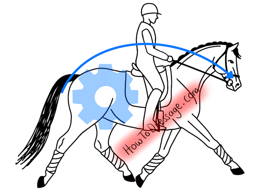 More inside leg… or neck reins?