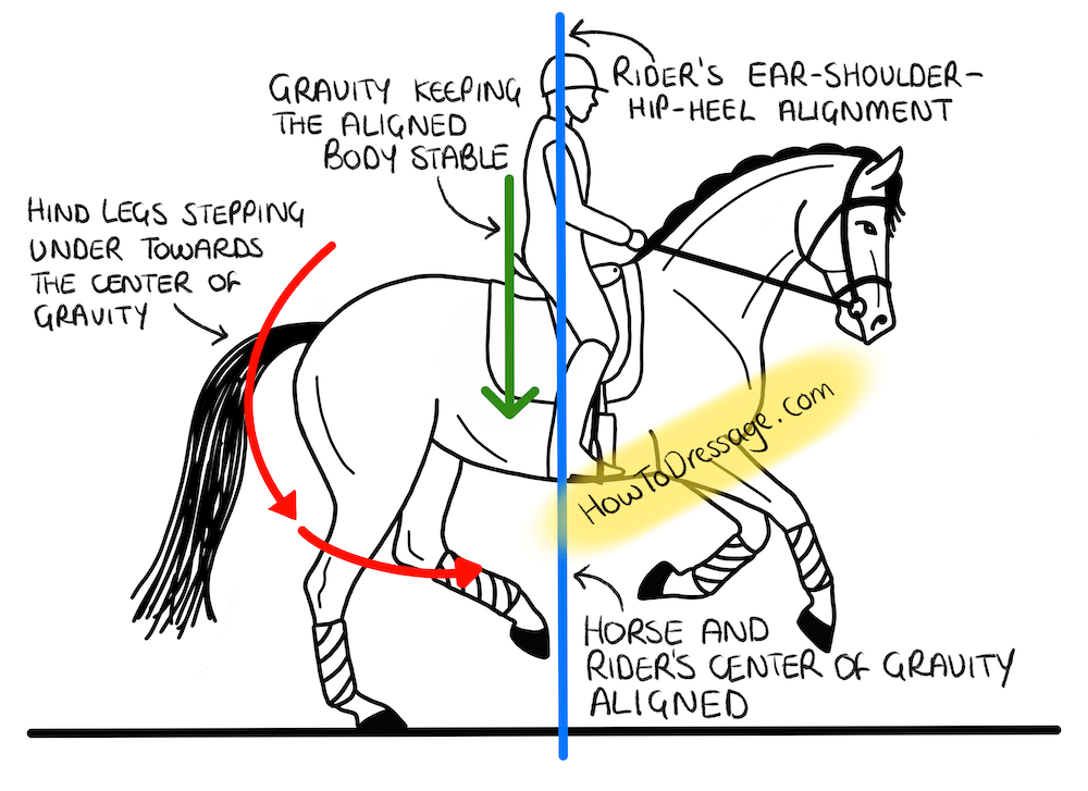 How to Stop Your Legs From Swinging When Riding ⋆ How To Dressage